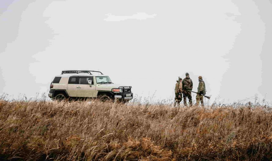 Colorado Calling How Leasing Land Elevates Your Hunting Experience